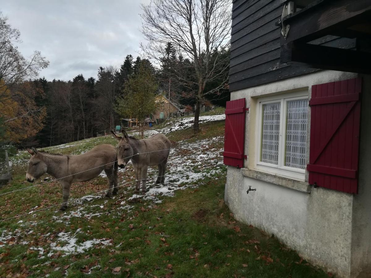 Le Chalet De Rothenbuhl Dabo Exteriör bild