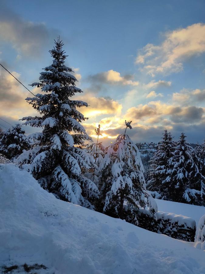 Le Chalet De Rothenbuhl Dabo Exteriör bild