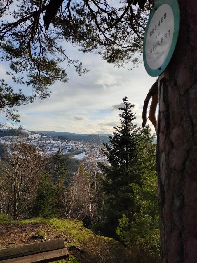 Le Chalet De Rothenbuhl Dabo Exteriör bild